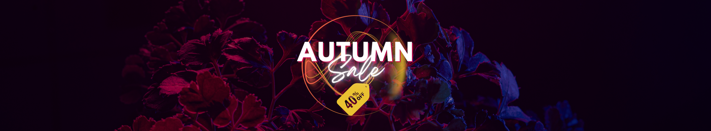 Autumn Sale 2024